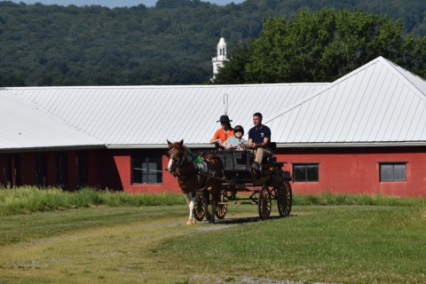 Equine Therapy 2026 39