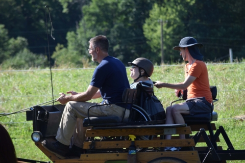 Equine Therapy 2026 43