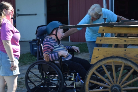 Equine Therapy 2026 49