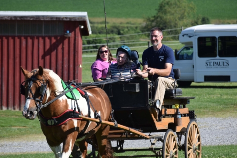 Equine Therapy 2026 70