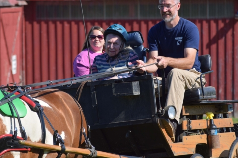 Equine Therapy 2026 71