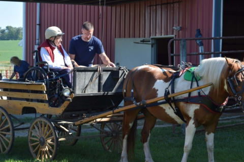 Equine Therapy 2026 78