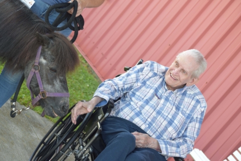 Equine Therapy 2026 86