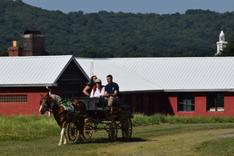 Equine Therapy 2026 96