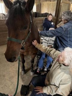 Equine Therapy 2026 HEIC files 1
