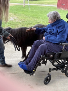 Equine Therapy 2026 HEIC files 10