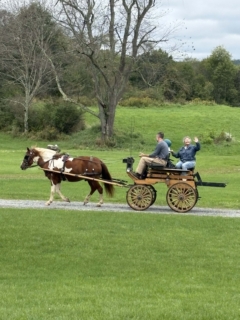 Equine Therapy 2026 HEIC files 11