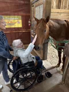 Equine Therapy 2026 HEIC files 12