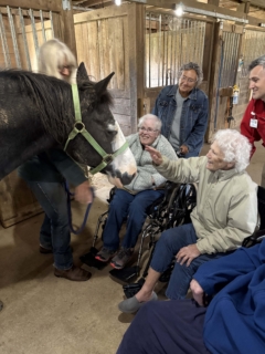 Equine Therapy 2026 HEIC files 17