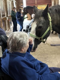 Equine Therapy 2026 HEIC files 18