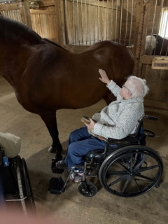 Equine Therapy 2026 HEIC files 19