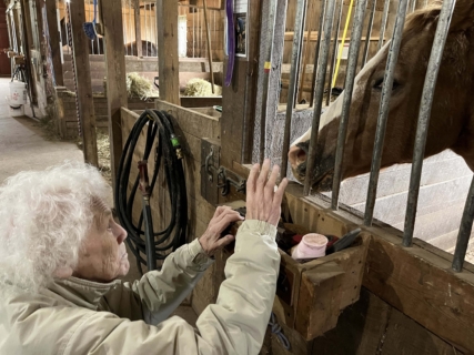 Equine Therapy 2026 HEIC files 2