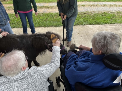 Equine Therapy 2026 HEIC files 21