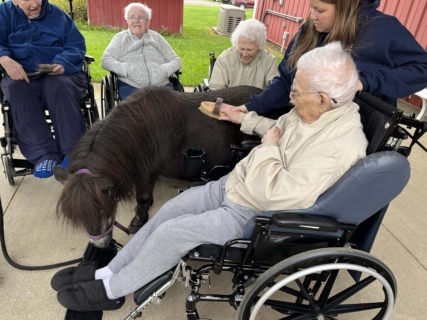 Equine Therapy 2026 HEIC files 22