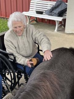 Equine Therapy 2026 HEIC files 23