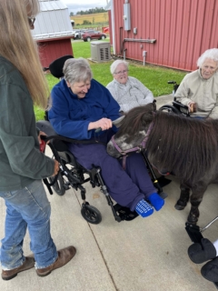 Equine Therapy 2026 HEIC files 24