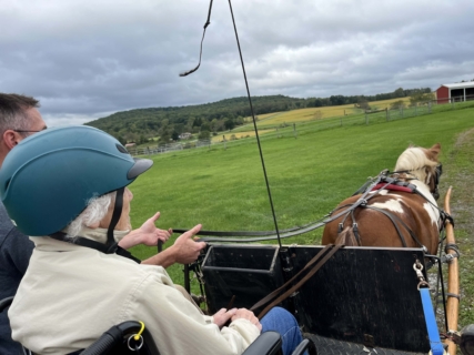 Equine Therapy 2026 HEIC files 25