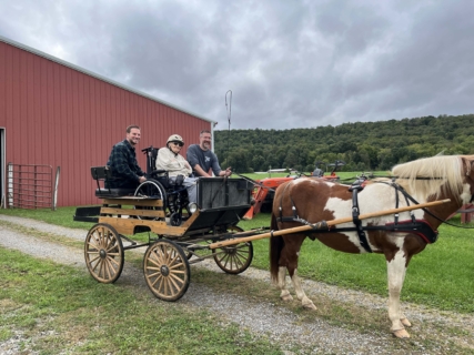 Equine Therapy 2026 HEIC files 27