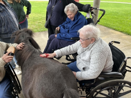 Equine Therapy 2026 HEIC files 28