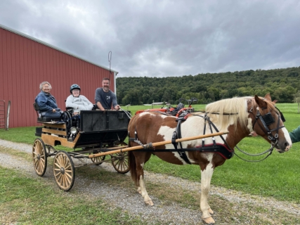 Equine Therapy 2026 HEIC files 30
