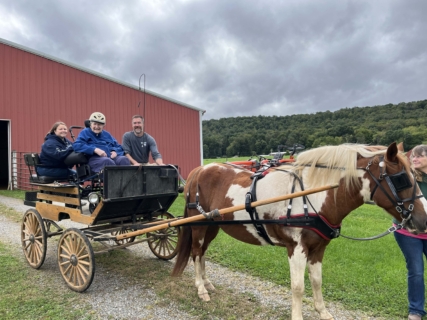 Equine Therapy 2026 HEIC files 31