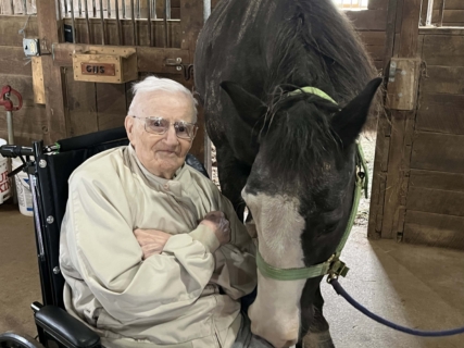 Equine Therapy 2026 HEIC files 33