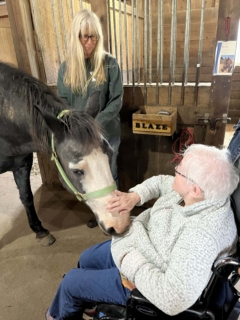 Equine Therapy 2026 HEIC files 35