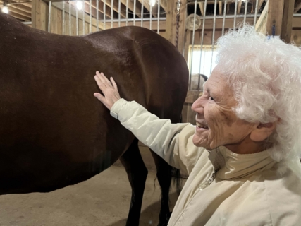 Equine Therapy 2026 HEIC files 36