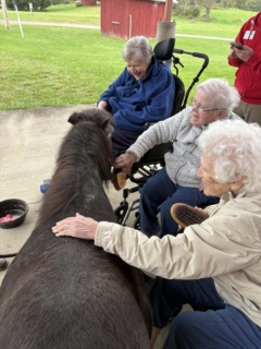 Equine Therapy 2026 HEIC files 6