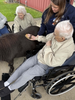 Equine Therapy 2026 HEIC files 7