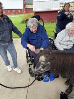 Equine Therapy 2026 HEIC files 8