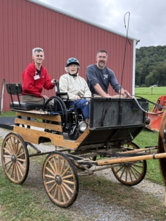Equine Therapy 2026 HEIC files 9
