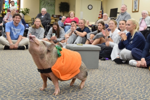 Party pigs 9 23 2026 46