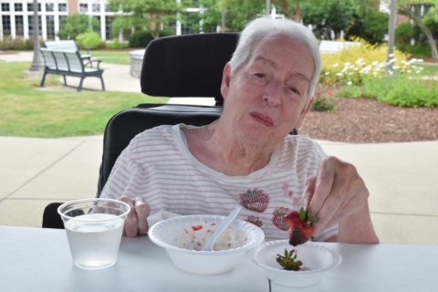 Strawberry Festival 2026 4