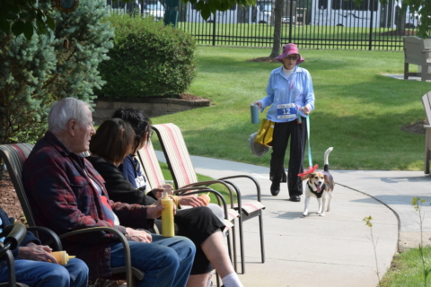 Color Run 6 7 25 431