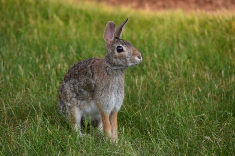 Buhl Community Band 6 4 25 67