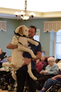 Pet Parade 1 17 25 104