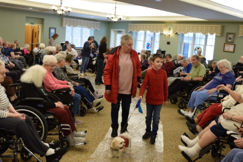 Pet Parade 1 17 25 107