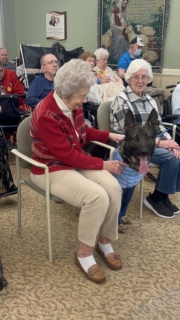 Pet Parade 1 17 25 110