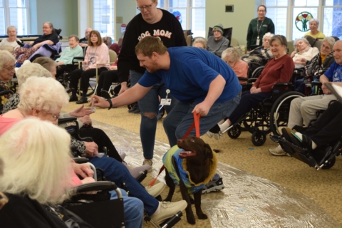 Pet Parade 1 17 25 16