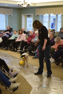 Pet Parade 1 17 25 23