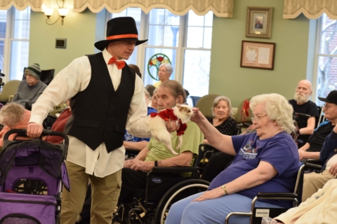 Pet Parade 1 17 25 40