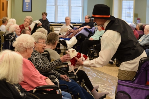 Pet Parade 1 17 25 41