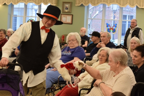 Pet Parade 1 17 25 42