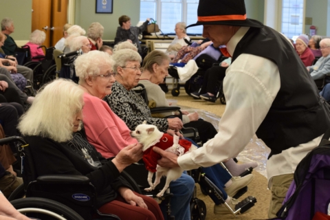 Pet Parade 1 17 25 43