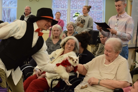 Pet Parade 1 17 25 44