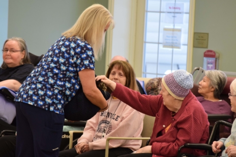 Pet Parade 1 17 25 54