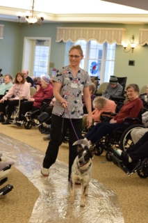 Pet Parade 1 17 25 59