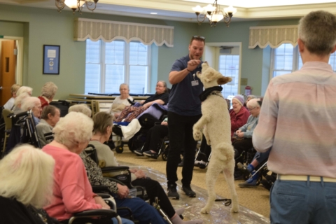 Pet Parade 1 17 25 7