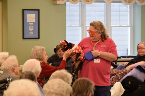 Pet Parade 1 17 25 70